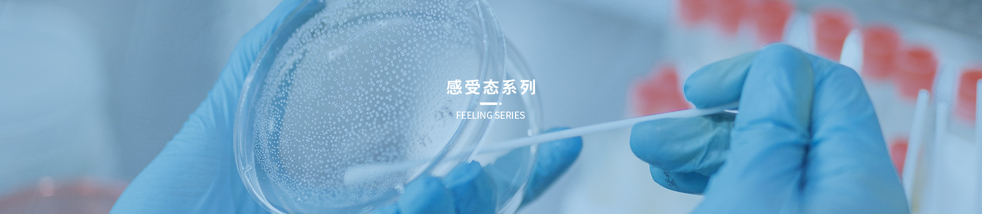 感受态系列