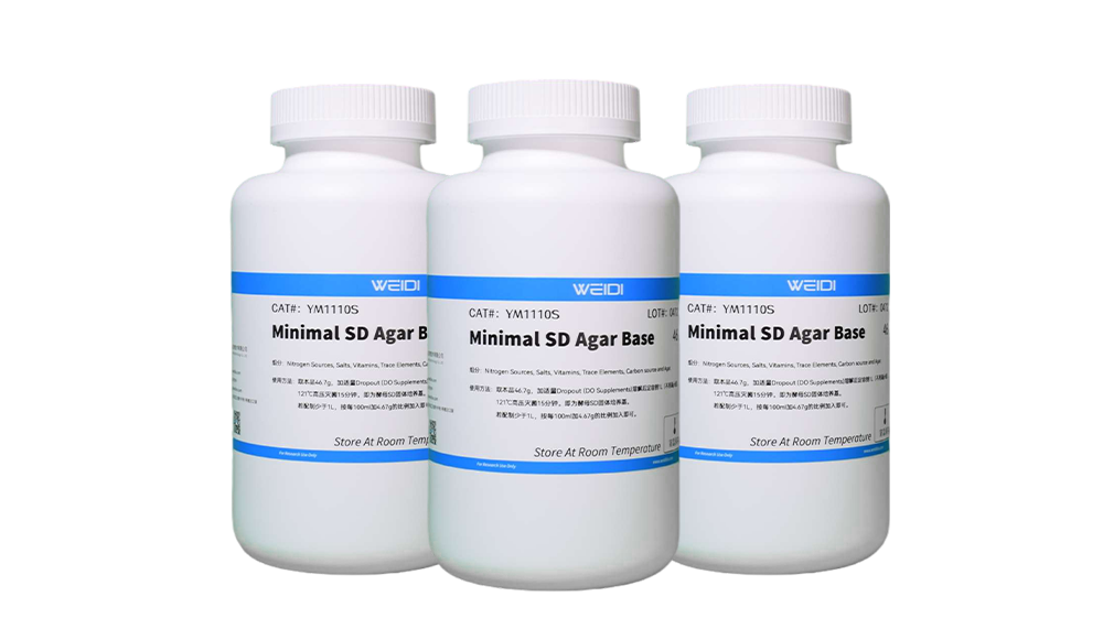 Minimal SD Agar Base