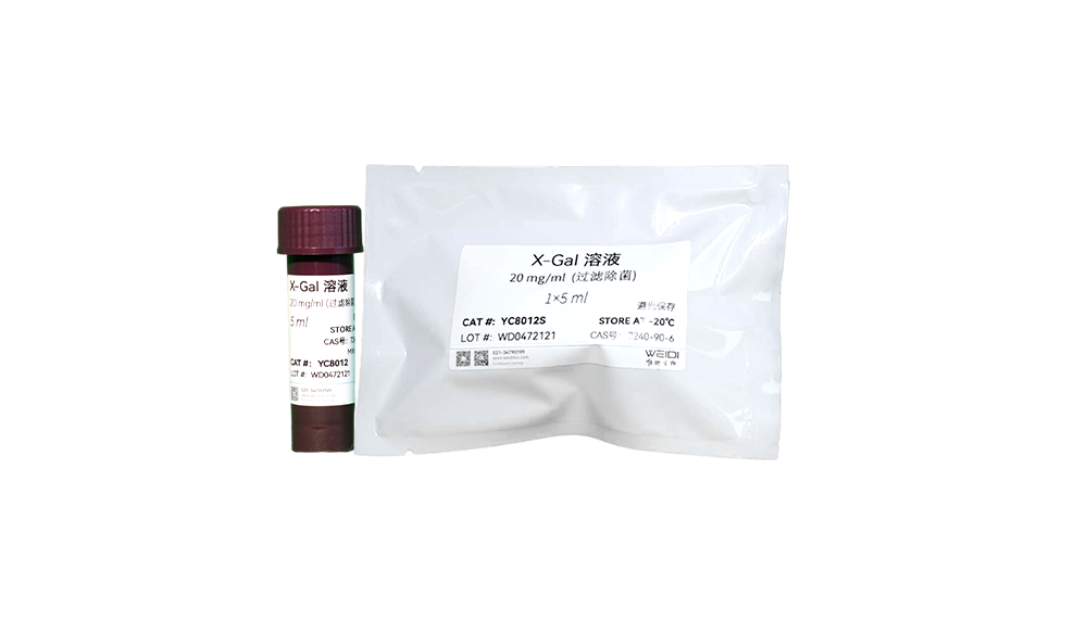 X-Gal 溶液（20 mg/ml，过滤除菌）