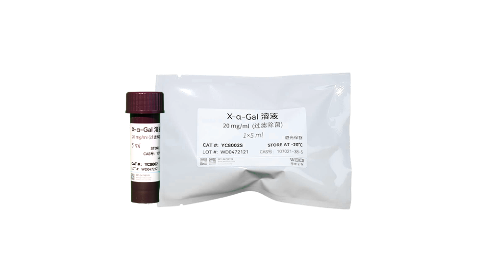 X-α-Gal 溶液 (20 mg/ml,过滤除菌)