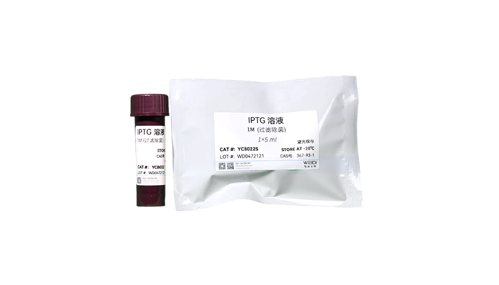 IPTG 溶液(1M,过滤除菌)