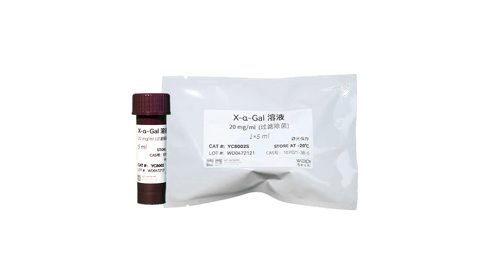 X-α-Gal 溶液 (20 mg/ml,过滤除菌)