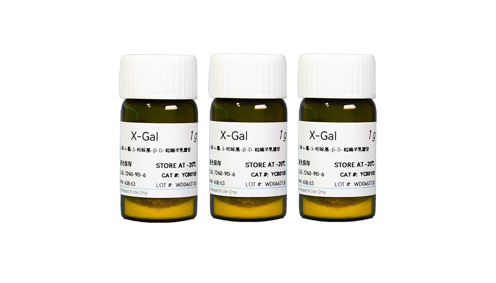 X-Gal