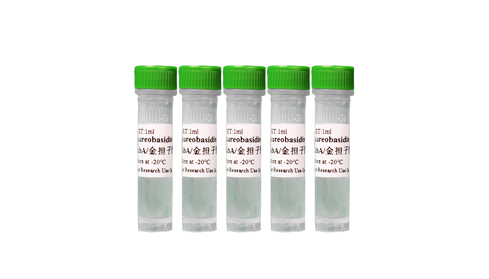 Aureobasidin A(AbA/金担子素 1 mg/mL)
