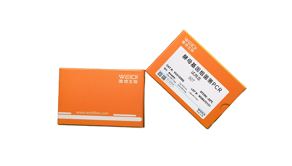 酵母基因组菌落PCR试剂盒(Y1HGold鉴定)