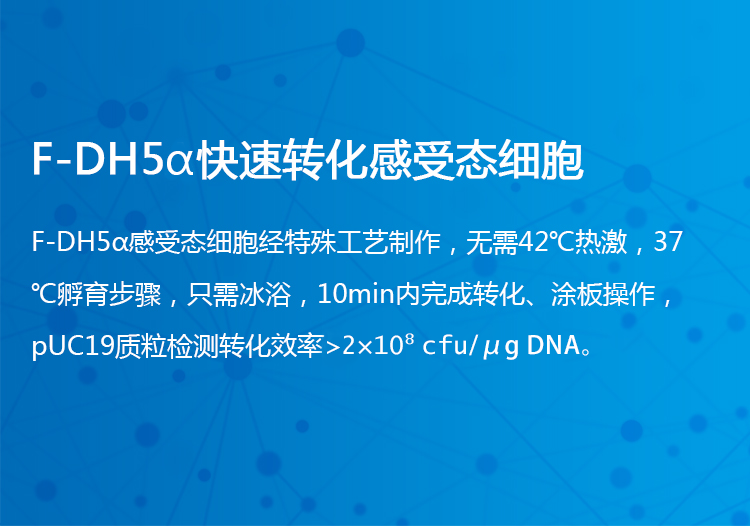 F-DH5α快速转化感受态细胞