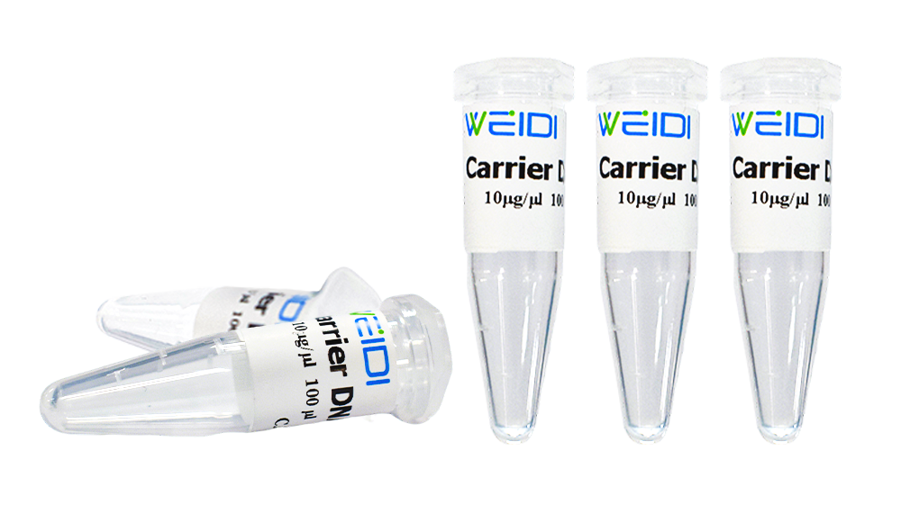 Carrier DNA (鲑鱼精DNA)(10mg/mL)