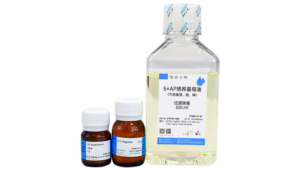 5×AP培养基(不含碳源、钠、钾)母液(已过滤除菌)