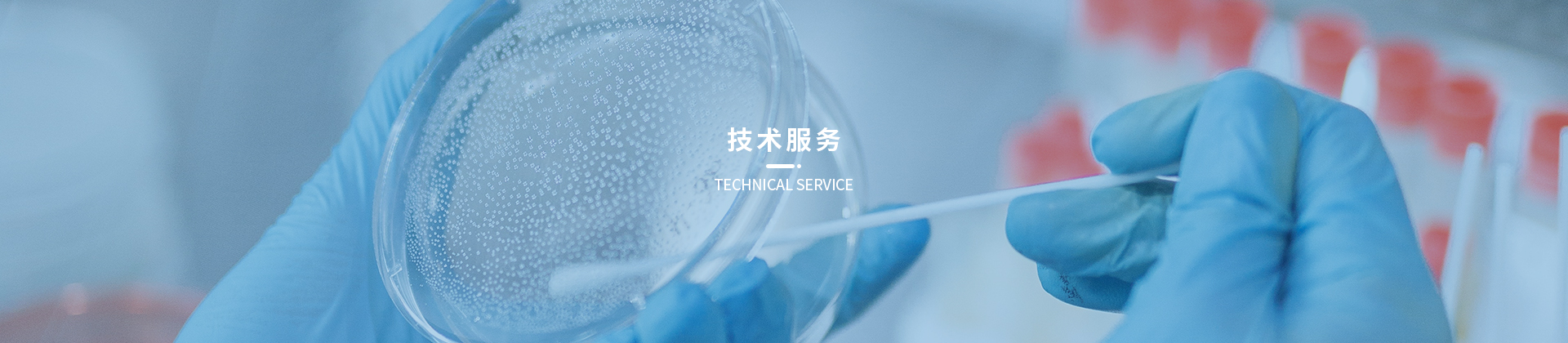 技术服务