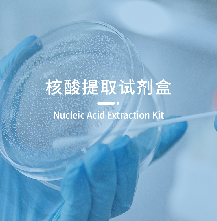 核酸提取试剂盒