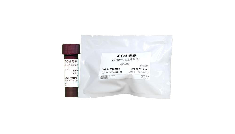 X-Gal 溶液(20 mg/ml,过滤除菌)
