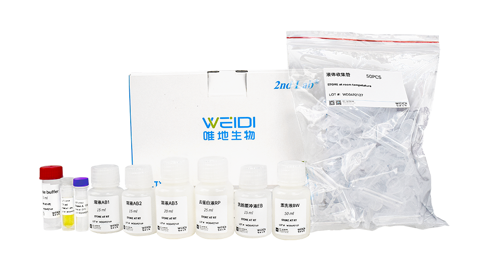 硅胶膜酵母质粒提取试剂盒