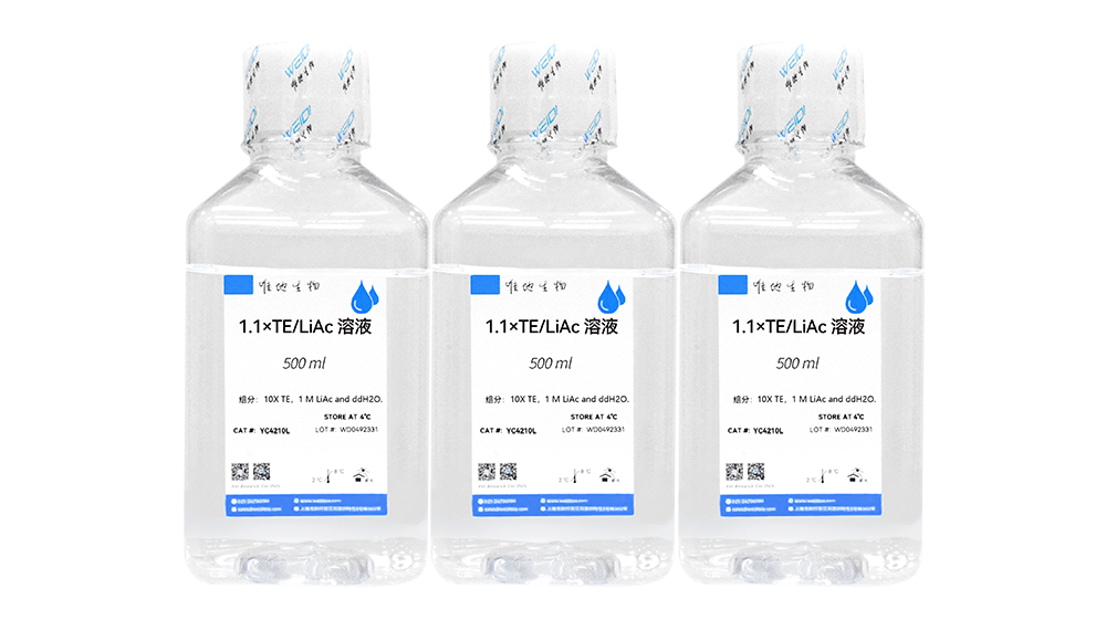 1.1X TE/LiAc Solution