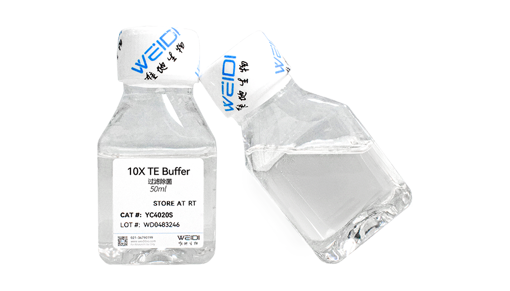 10X TE Buffer
