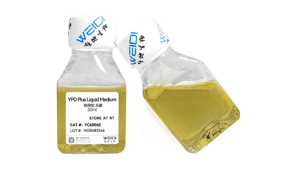 YPD Plus Liquid Medium