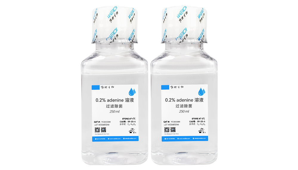 0.2% adenine 溶液