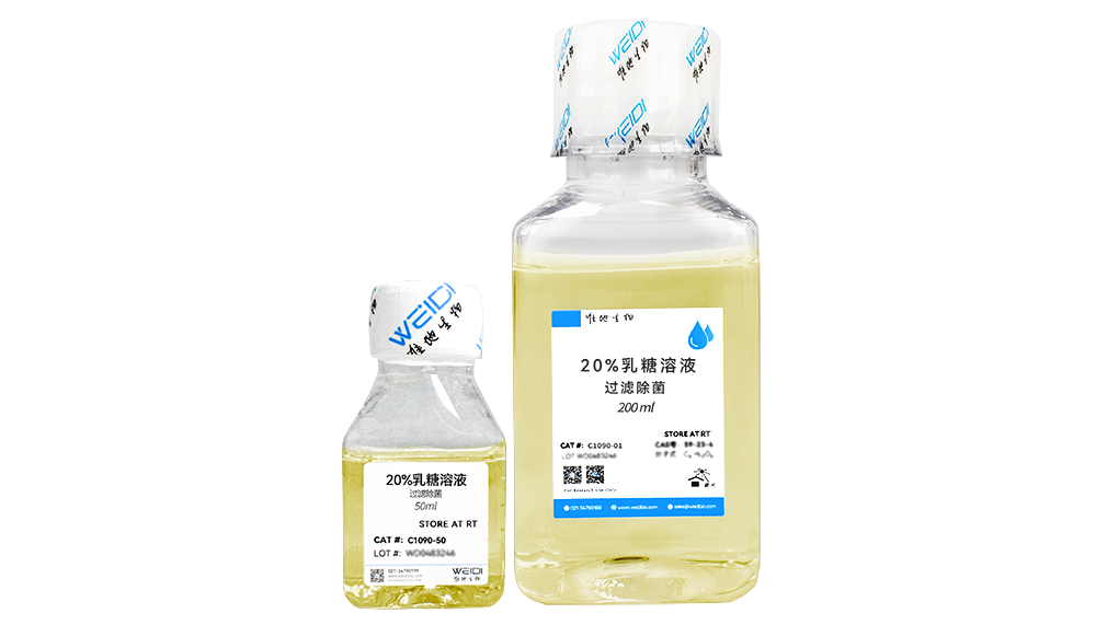 20%乳糖溶液(过滤除菌)
