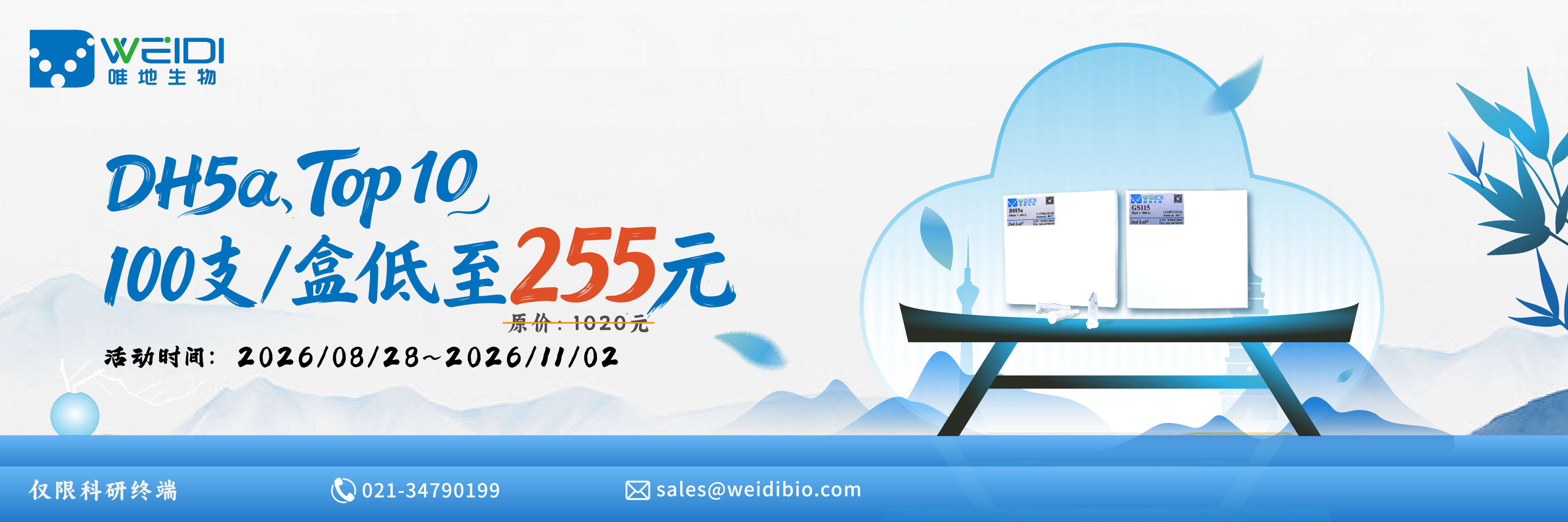 dh5α、top10低至255元